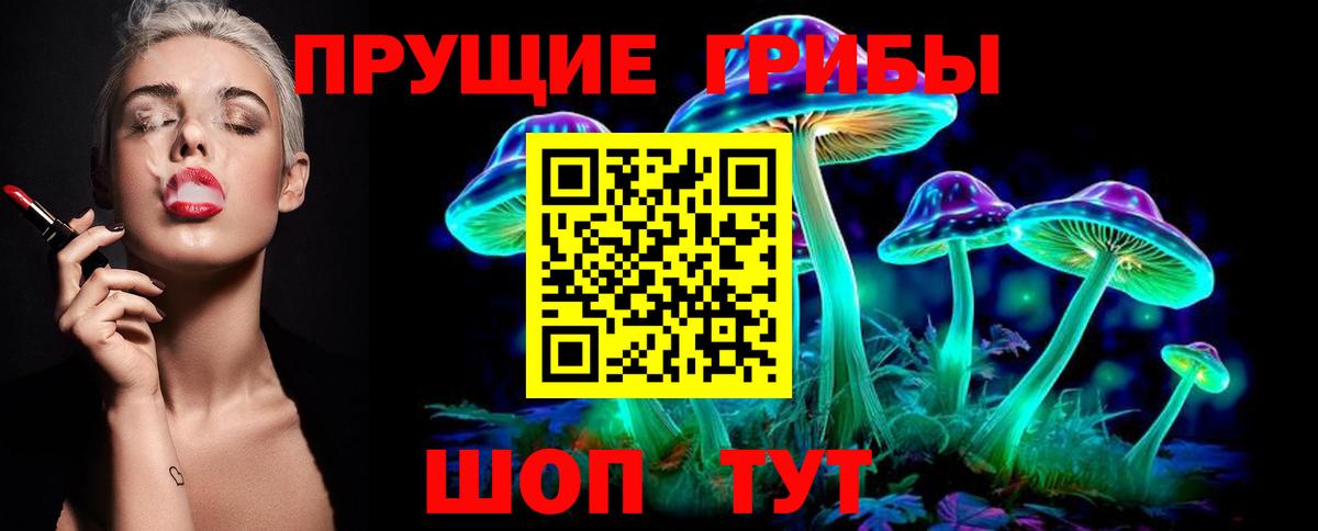 Аксай  Псилоцибиновые грибы Psilocybine cubensis  Вход с VPN 